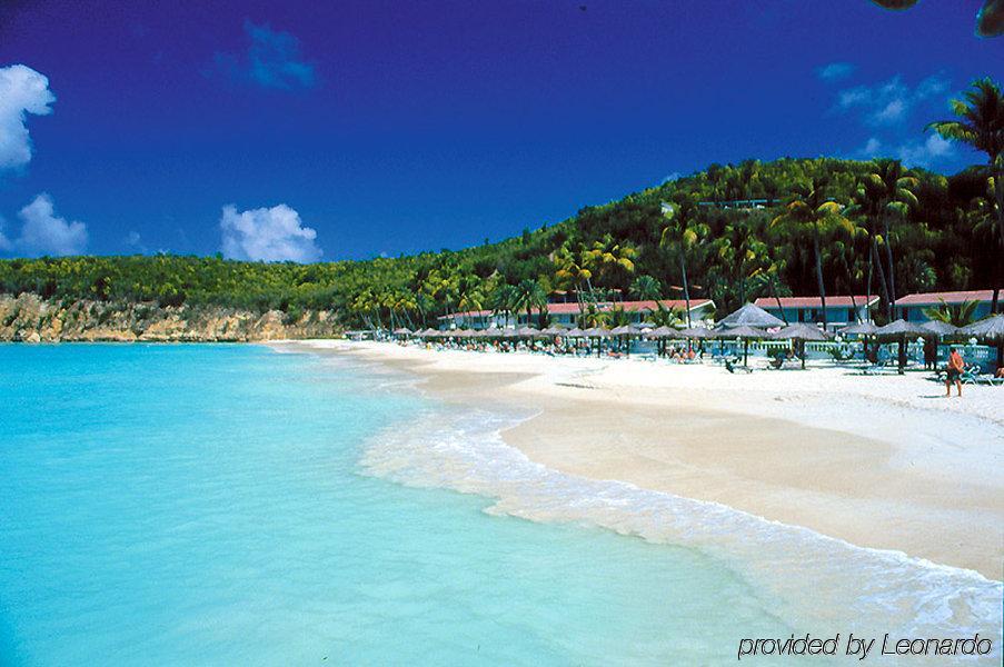 Готель Starfish Halcyon Cove Dickenson Bay Екстер'єр фото