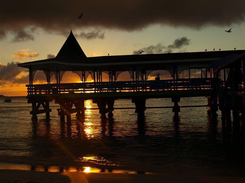 Готель Starfish Halcyon Cove Dickenson Bay Екстер'єр фото